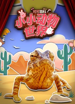可可百科365小小动物世界