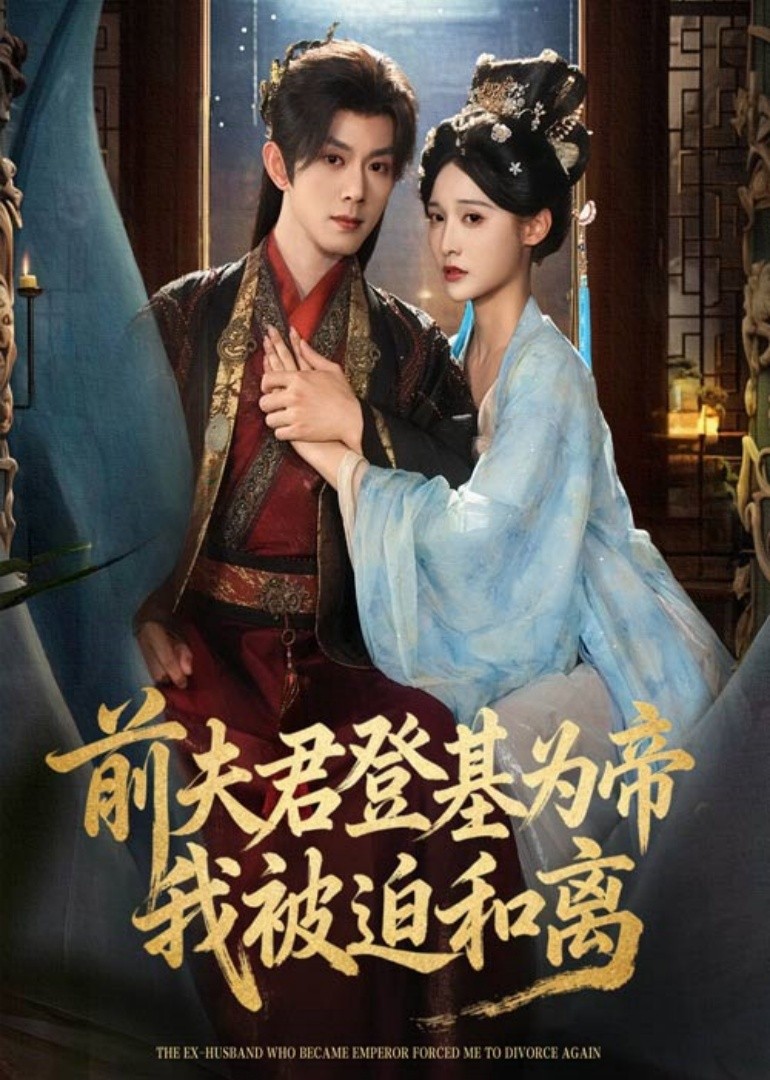 前夫君登基为帝，我被迫和离