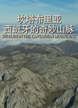 坎塔布里亚西班牙的奇妙山脉