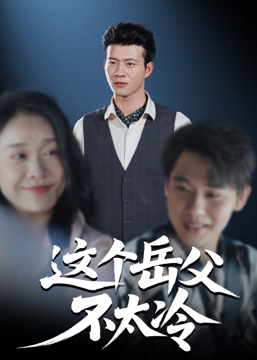 这个岳父不太冷封面