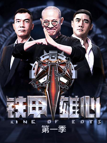 最强战队携带最强战机角逐冠军