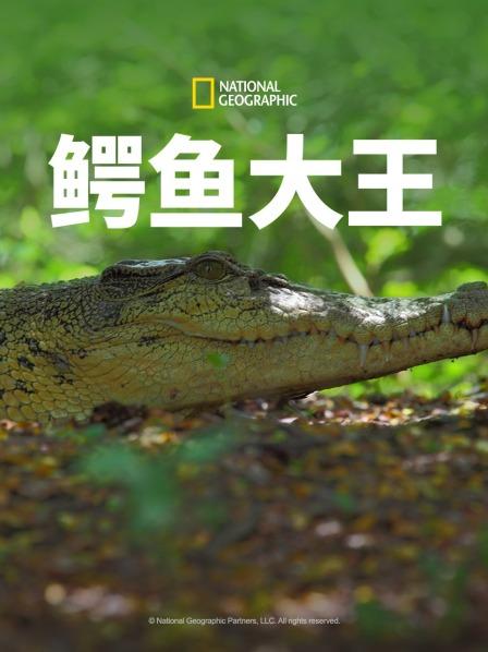 鳄鱼兄弟之间的斗争