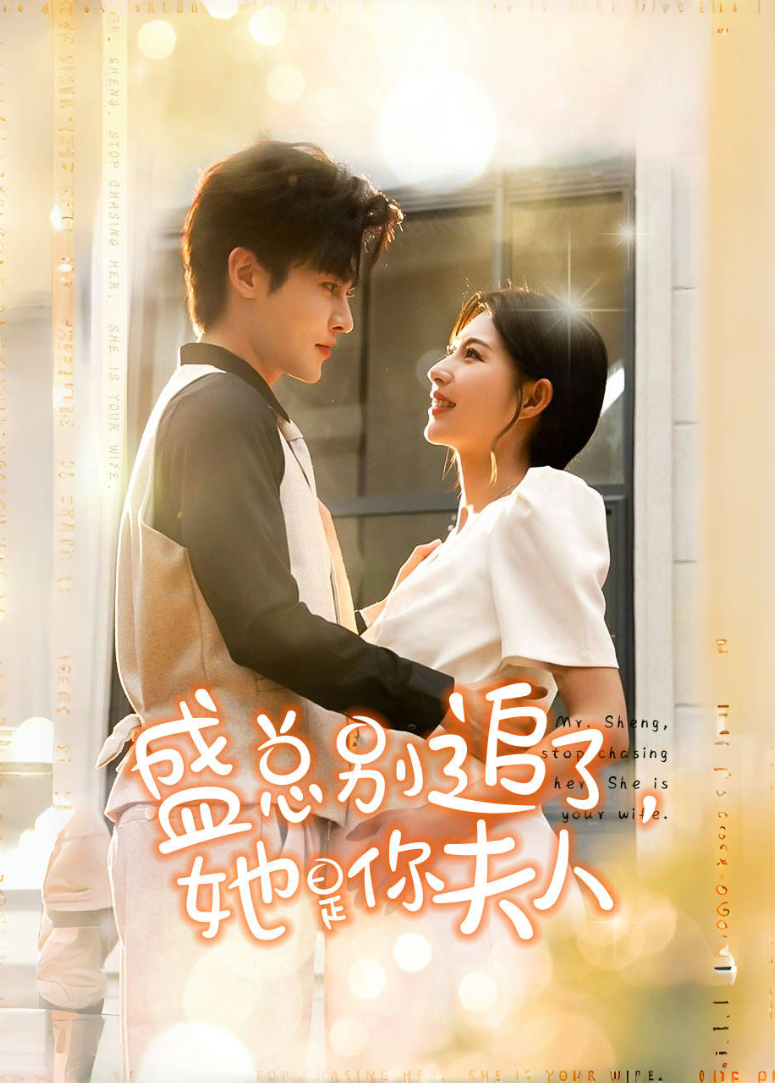 盛总别追了，她是你夫人