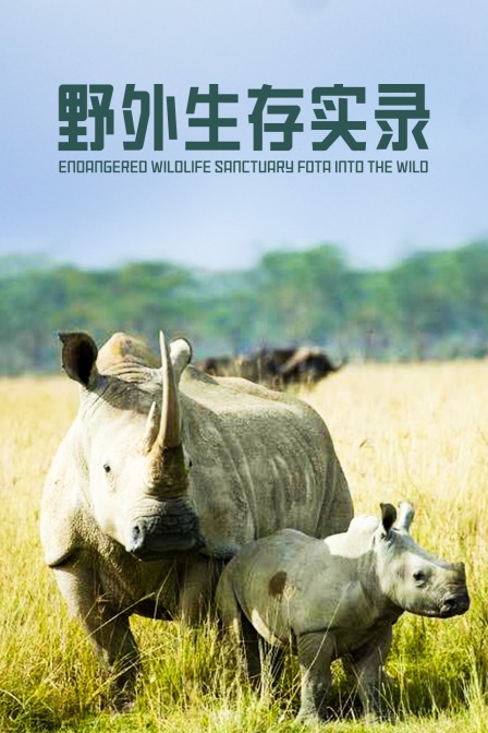 野外生存实录