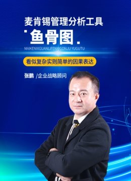 麦肯锡管理分析工具之鱼骨图