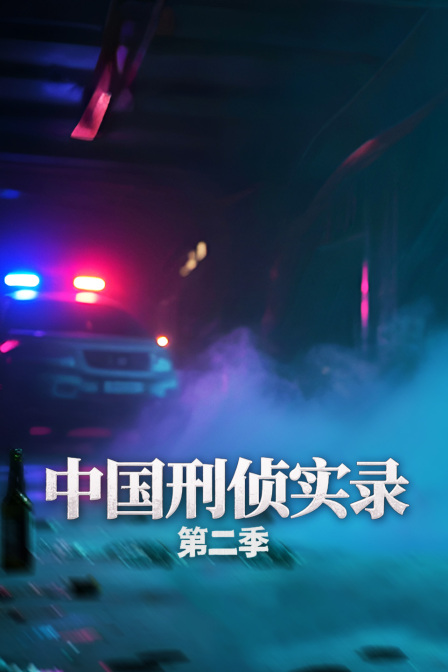 大陆刑侦实录第2季