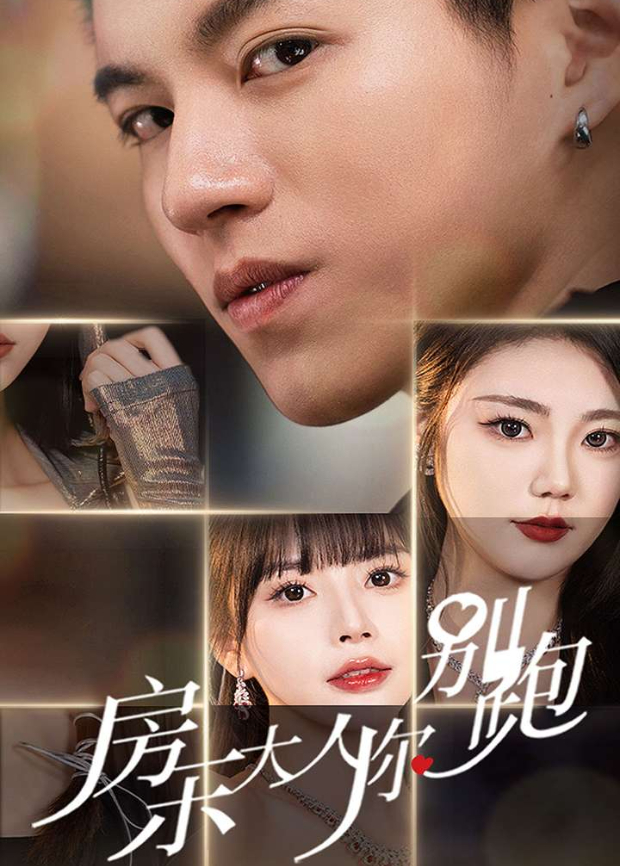 房东大人你别跑