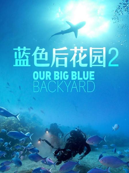 雄性座头鲸给母鲸唱歌求偶海兔雌雄同体异体受精