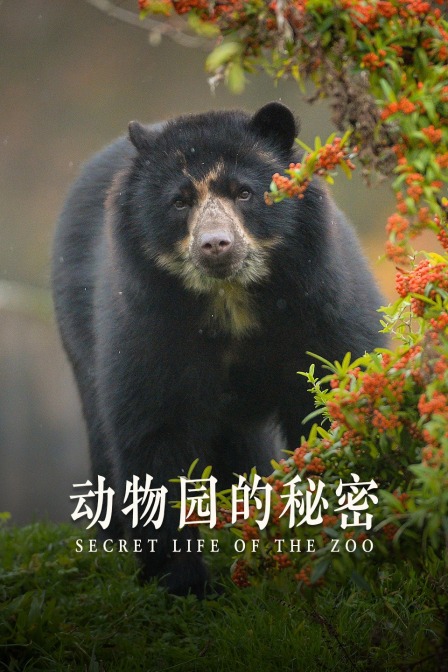 动物园的秘密
