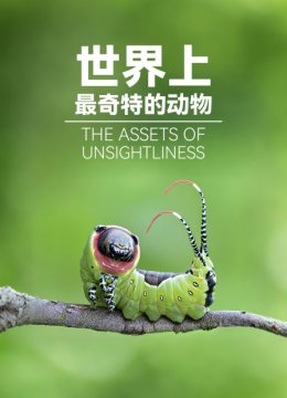 世界上最奇特的动物