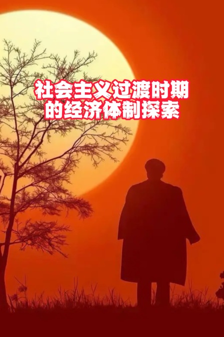 社会主义过渡时期的经济体制探索