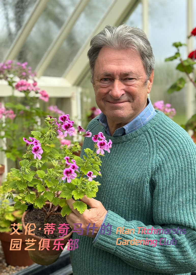 艾伦蒂奇马什的园艺俱乐部