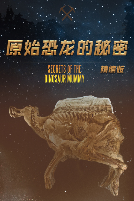 原始恐龙的秘密精编版