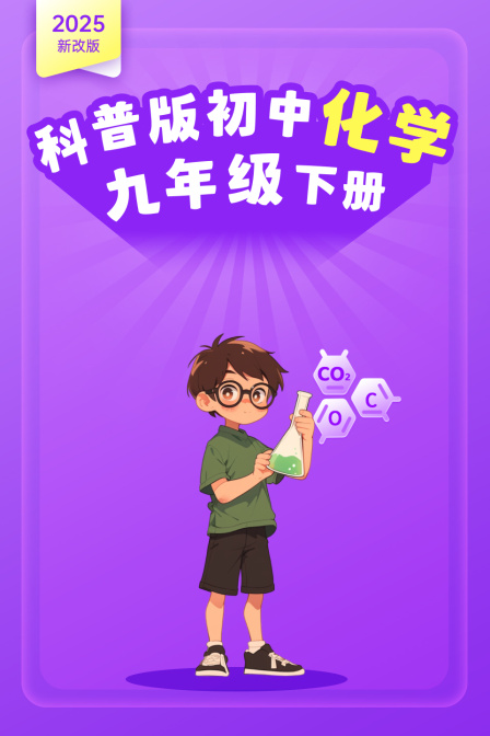 2025新改版科普版初中化学九年级下册