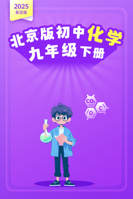 2025新改版北京版初中化学九年级下册