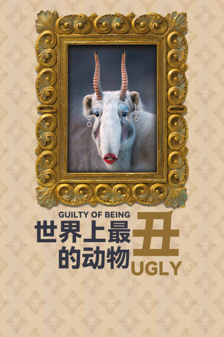 世界上最丑的动物