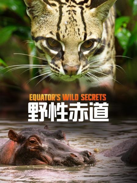 科隆群岛现实版“哥斯拉”海鬣蜥长得很凶狠却很温顺