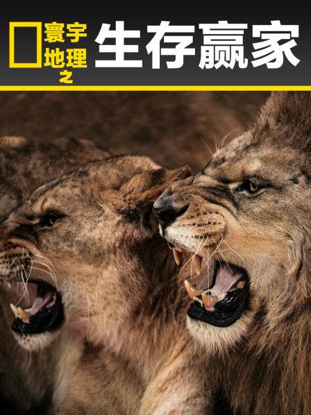 生存赢家之脑力较量