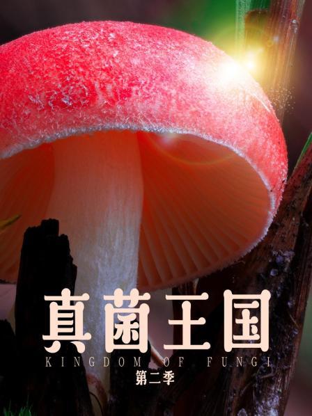 真菌王国2（一）