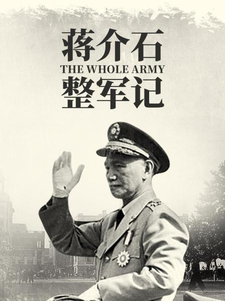 北伐胜利后各派系军阀间的明争暗斗