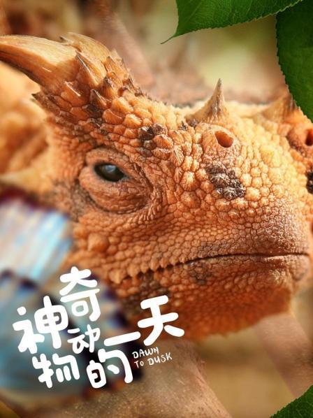 哥斯拉原型吃素又温顺树懒冒生命危险拉屎