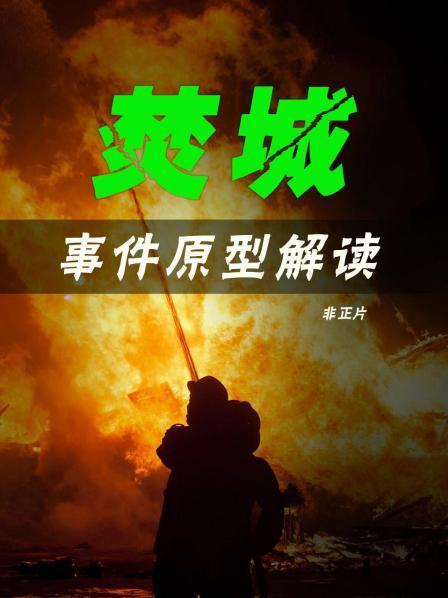 《焚城》事件原型造成60万人死伤的博帕尔惨案黑心资本仅赔偿人均800美元