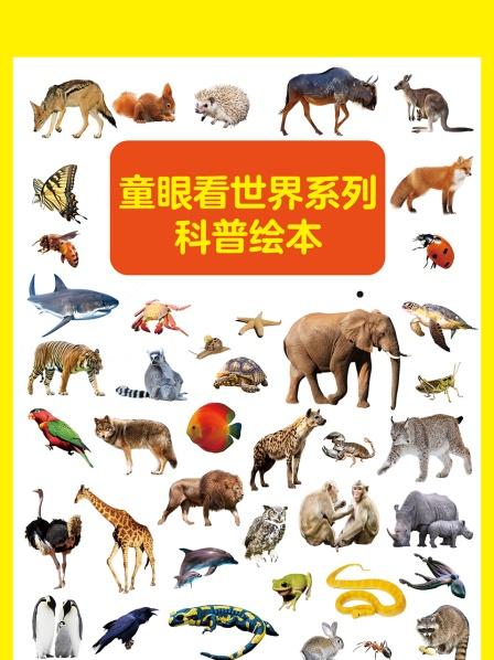 童眼认汽车150辆名车（一）