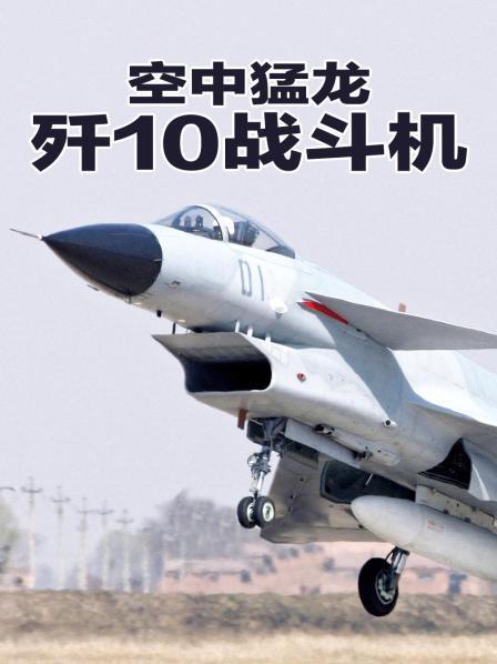 空中猛龙歼10战斗机（上）