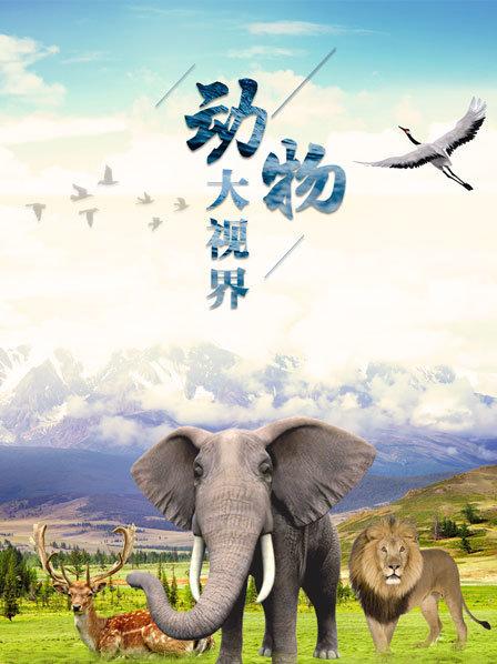 行走的狮群发现羚羊，迅速拿下开餐