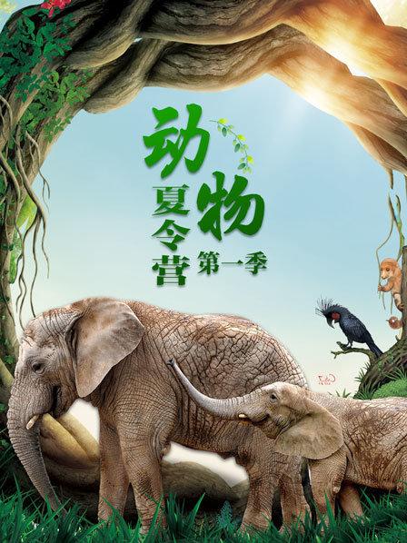 巨型公野牛打斗场面太激烈了