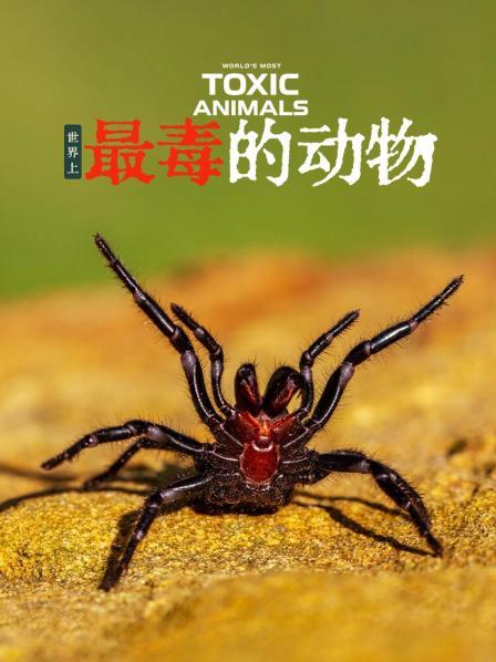 沙漠和海洋的巨毒