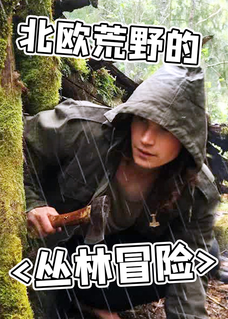 北欧荒野的丛林冒险