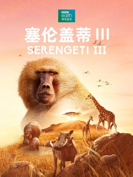 母狮卡丽为娃找后爸狒狒巴卡利王位遭挑战