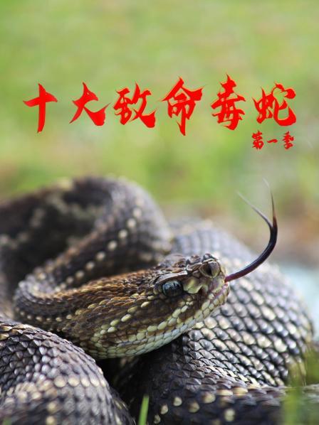 马来西亚（上）