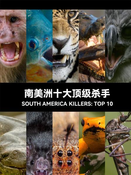 致命杀手之角雕、食人鲳和卷尾猴