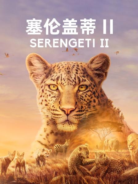 狮群VS水牛殊死搏斗狒狒家族上演后宫争斗