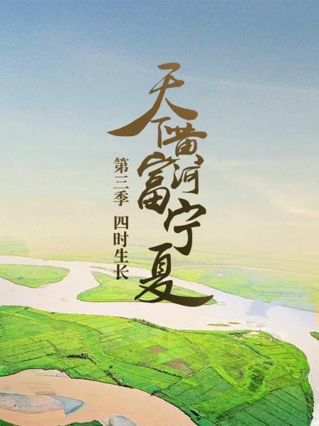 宁夏的珍宝枸杞