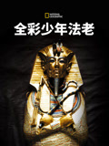 全彩少年法老