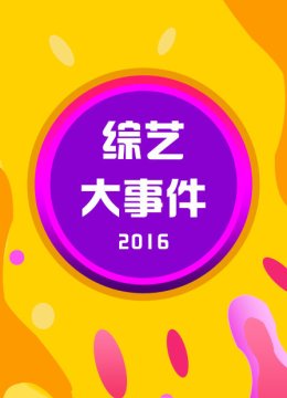综艺大事件2016