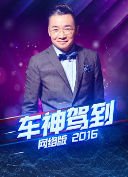 车神驾到网络版2016