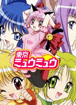 东京猫猫