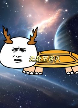 无敌王老八