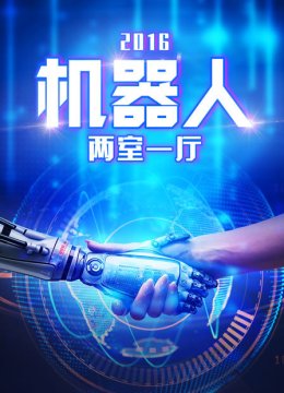 机器人两室一厅2016