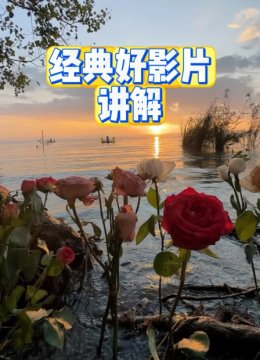 经典好影片讲解