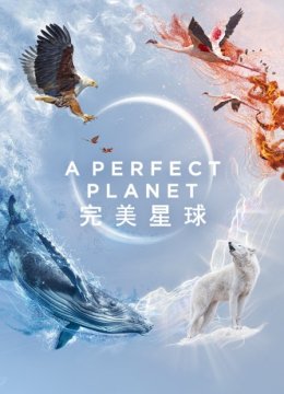 完美星球
