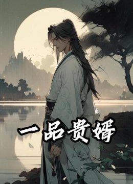 一品贵婿