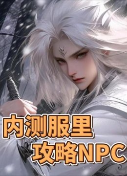 内测服里攻略NPC
