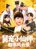 舅宠小仙师都市风云录