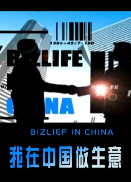 我在大陆做生意