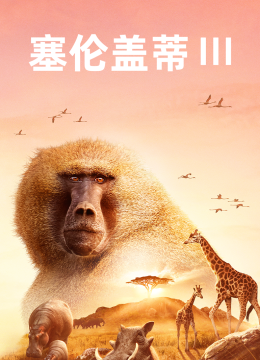 塞伦盖蒂第3季[普通话版]